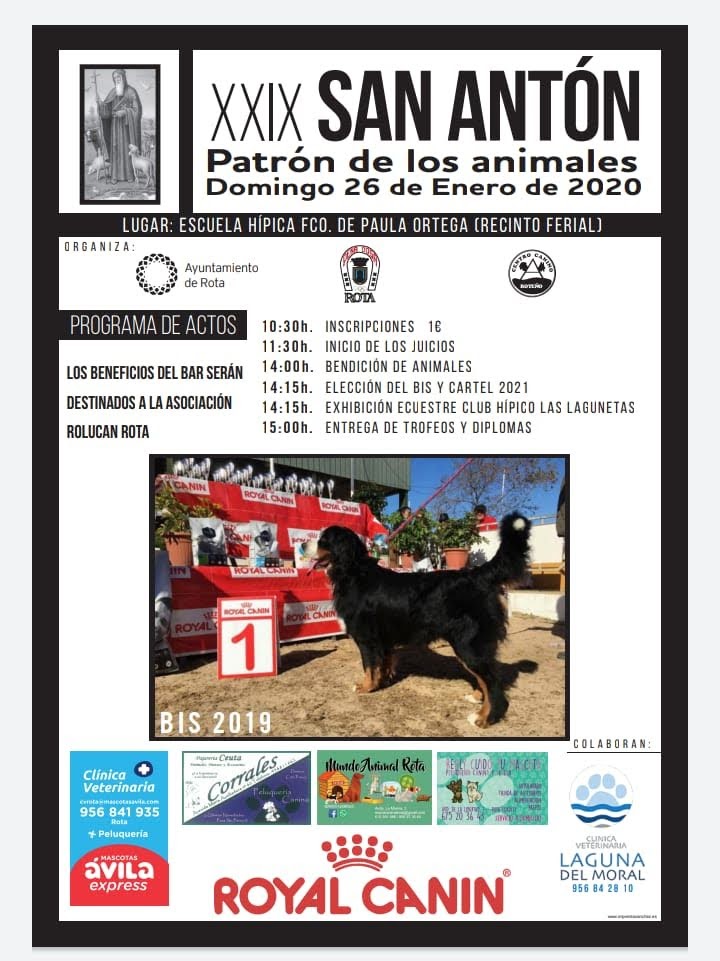 XXIX San Antón - Patrón de los animales, en Rota, con bar a beneficio de Rolucan Rota